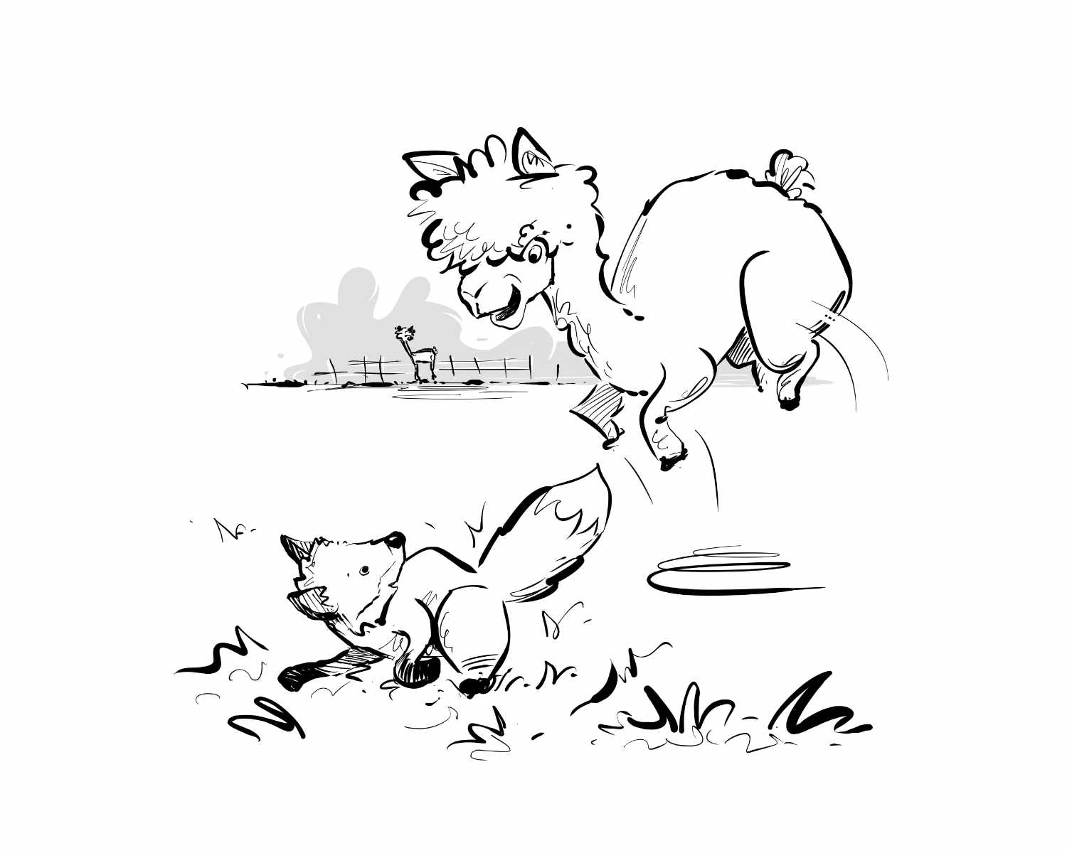 Alpaca & Fox